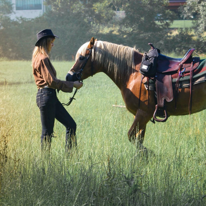 Improving Post-Ride Recovery for Horseback Riding