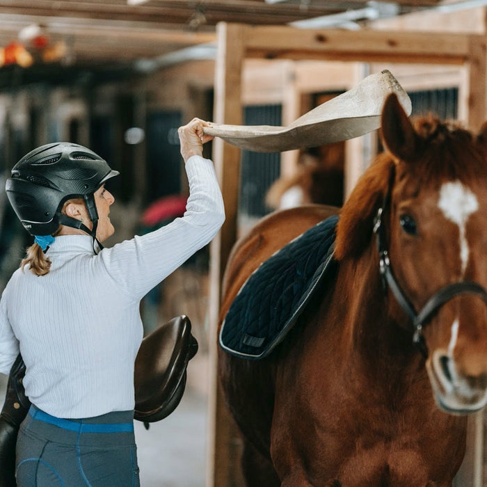Magnetic Therapy to Aid Post-Ride Recovery after Horseback Riding