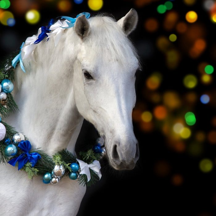 Christmas Gifts for the Horse Trainer Who Has Everything: Unique Ideas for the Equestrian Expert