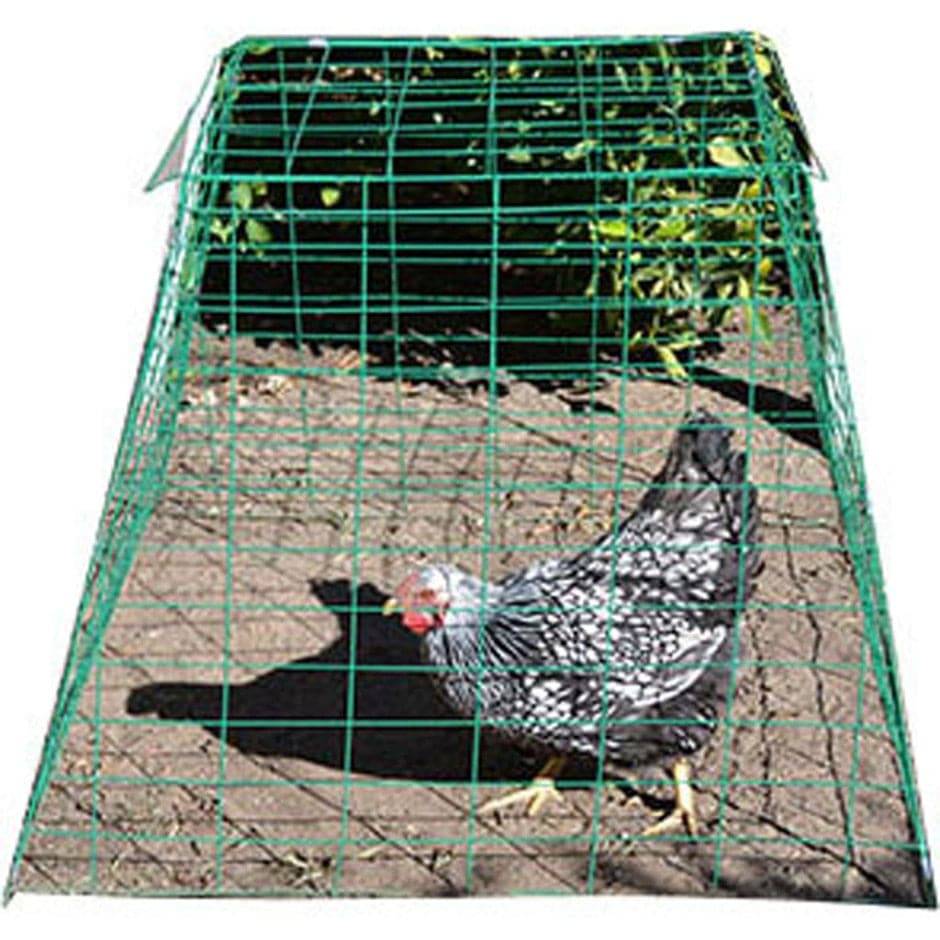 Pyramid Poultry Wire Cage - Equine Exchange Tack Shop