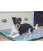 Digby & Fox Waterproof Dog Bed - Equine Exchange Tack Shop