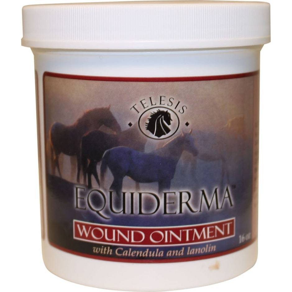 Equiderma Wound Ointment - 16oz