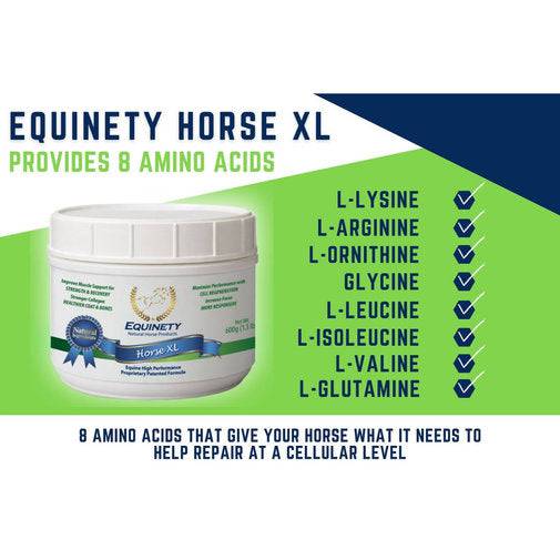Equinety Horse XL Amino Acid Supplement 600g