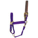 Adjustable Horse Halter With Leather Headpole - Equine Exchange Tack Shop
