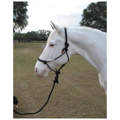 Adult Horse Rope Halter With Lead - Equine Exchange Tack Shop