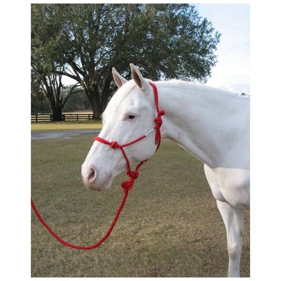 Adult Horse Rope Halter With Lead - Equine Exchange Tack Shop