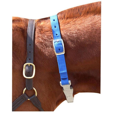 Cribbing Strap For Horses - Equine Exchange Tack Shop