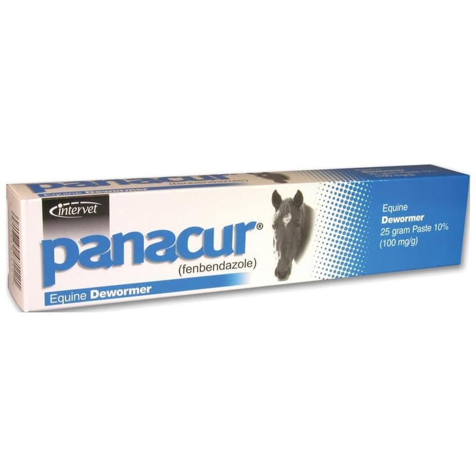 Panacur Paste Equine Dewormer - Equine Exchange Tack Shop