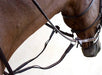 Nunn Finer Running Martingale With Elastic - Equine Exchange Tack Shop
