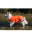 Shire's Equestrian Equi-Flector Dog Coat - Equine Exchange Tack Shop