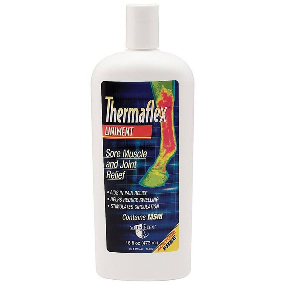Termaflex Liniment Gel With Msm For Equine - 16oz