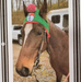 Handmade Valentine's Horse Bonnets - Equine Exchange Tack Shop