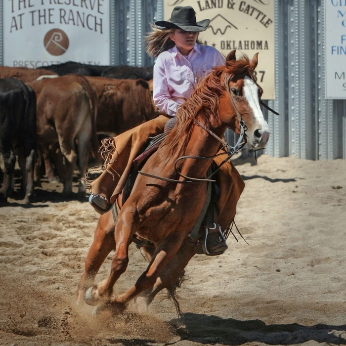 Spring Care for Performance Horses