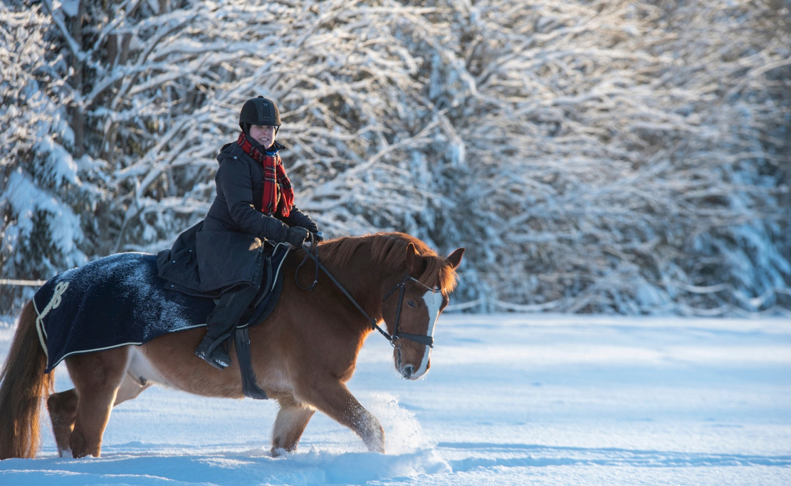 Best Riding Gloves for Cold-Weather Riding