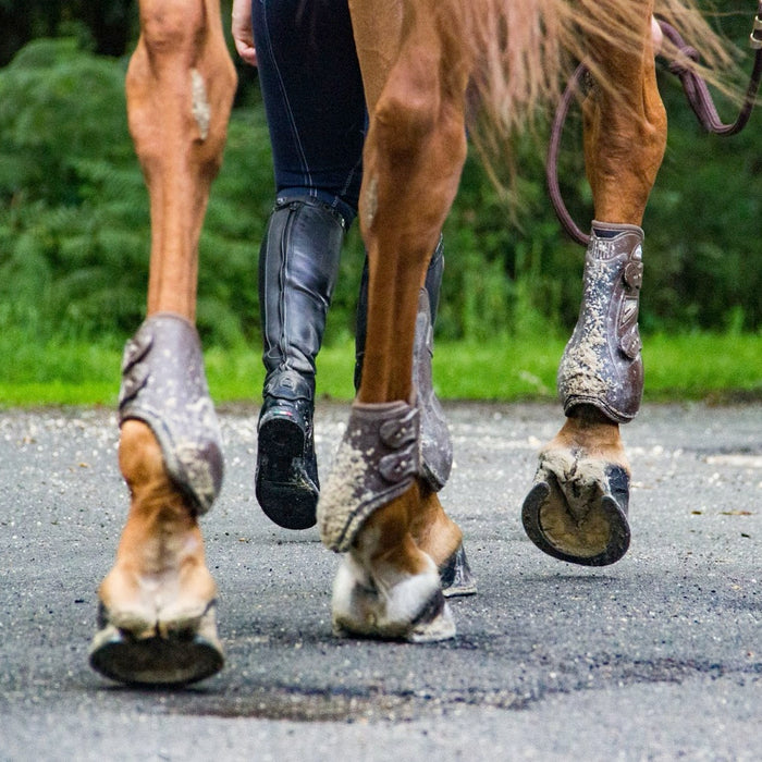 Shoeing vs. Barefoot - Which is Better?