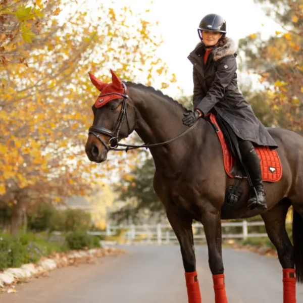 Top Fall Riding Apparel for 2024