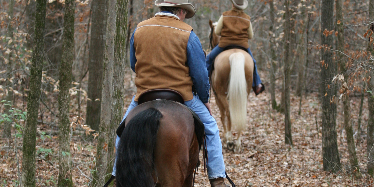 Preparing for Long Trail Rides