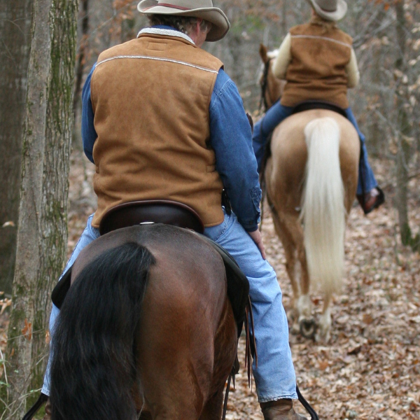 Preparing for Long Trail Rides