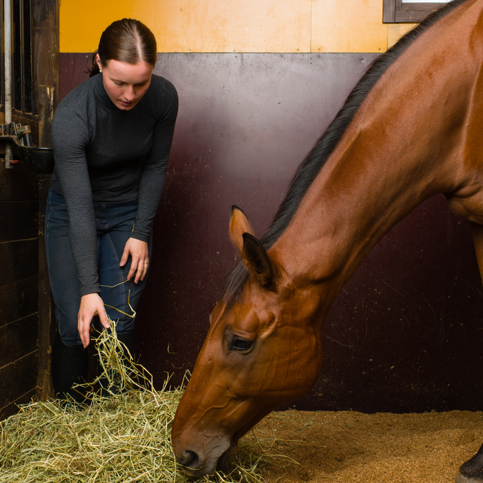 Setting up the Perfect Stall for Your Horse