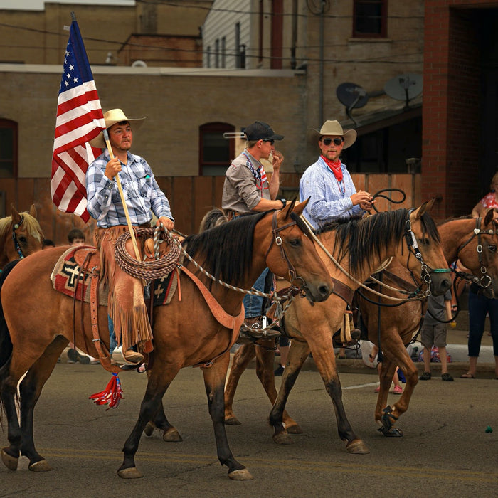 Preparing Your Horse for Parades