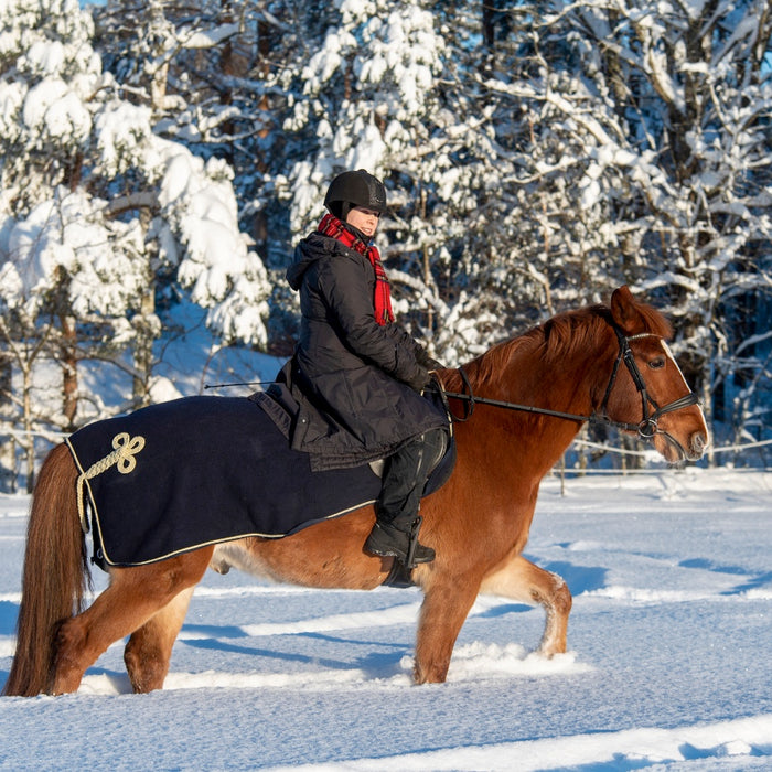 Best Winter Riding Gloves