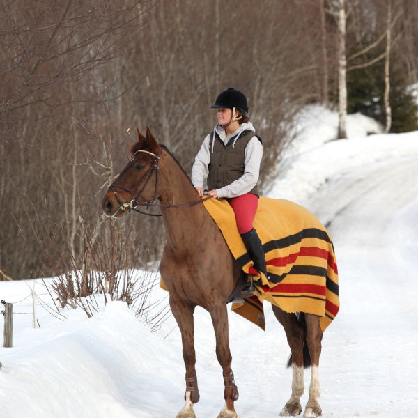 Tips for Riding in the Snow - For Riders