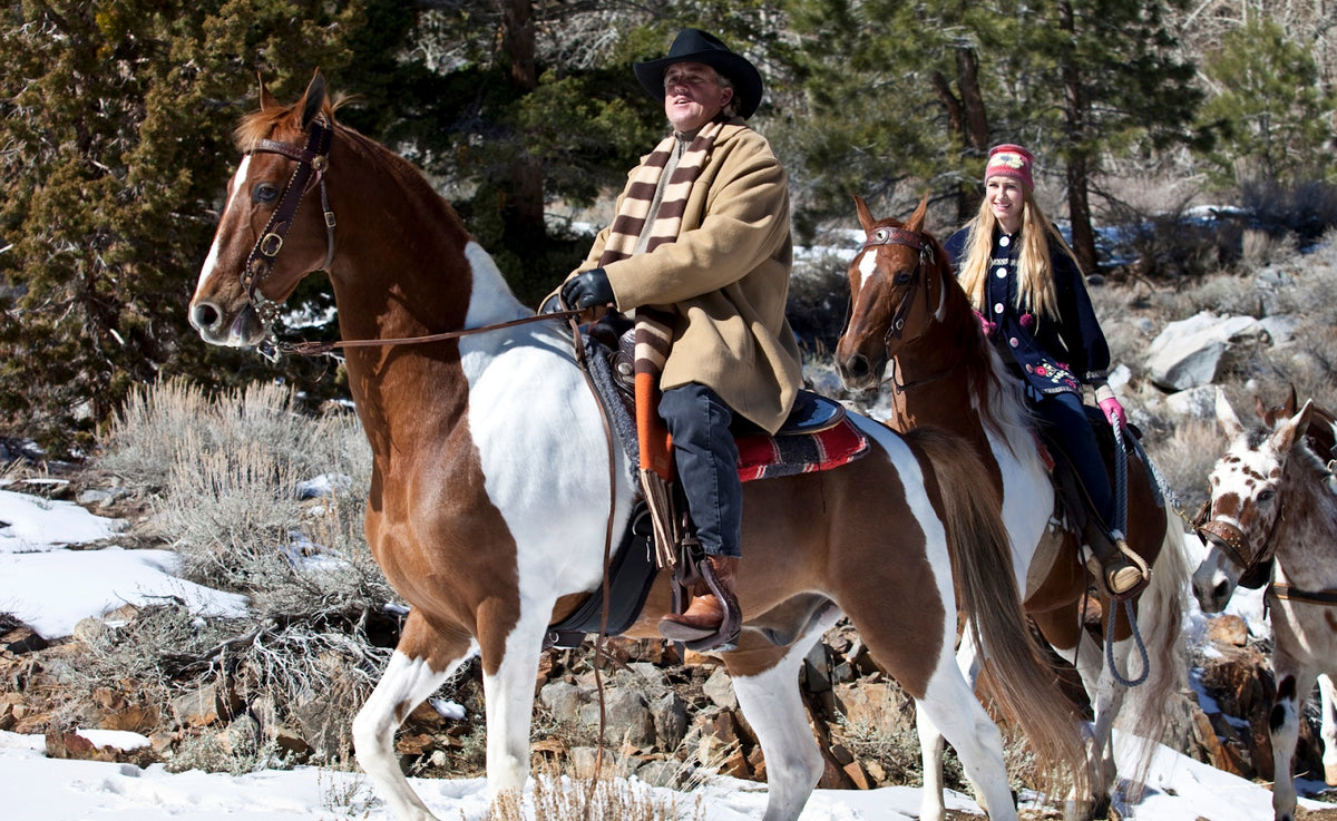 All About Gaited Horses | Equine Exchange Tack Shop