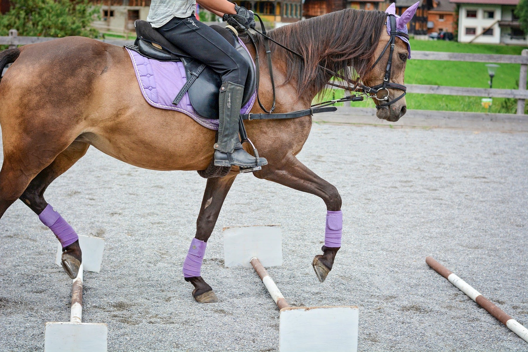 3 Polework Exercises to Try With Your Horse