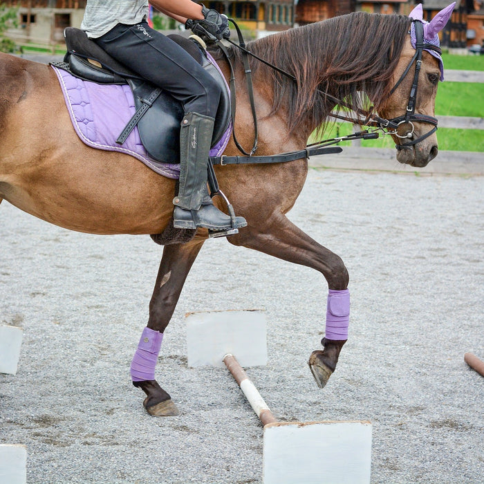 3 Polework Exercises to Try With Your Horse