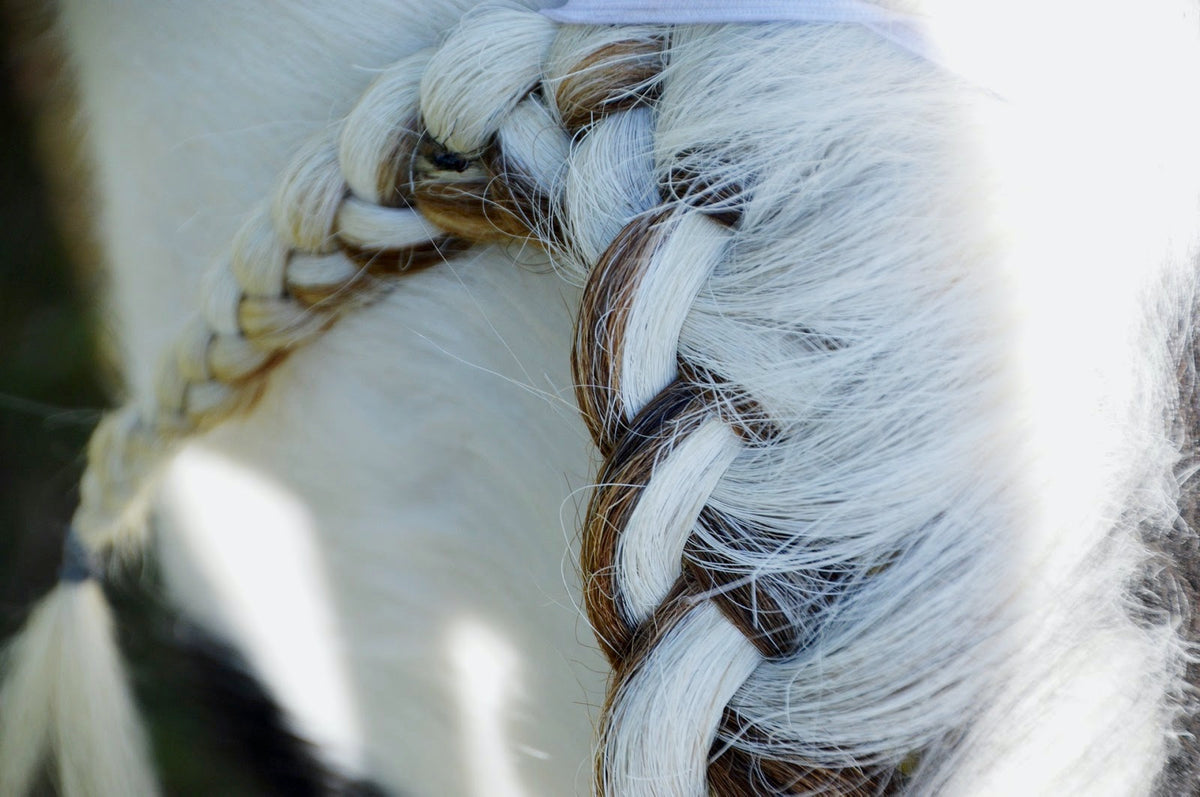 Winter Mane & Tail Care | Equine Exchange Tack Shop