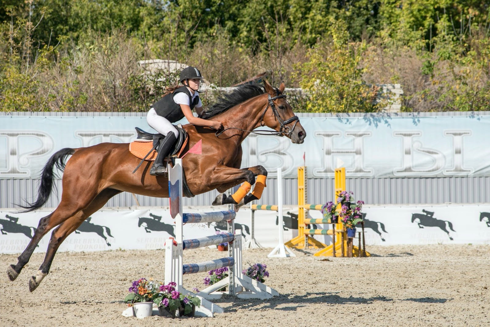 Top 5 Female Equestrians You Need to Be Watching