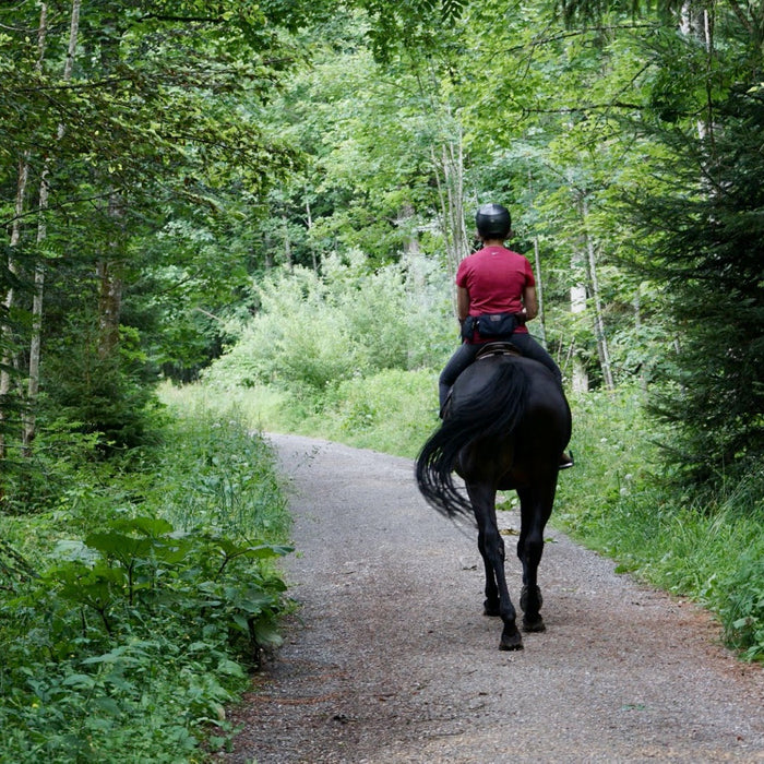 Stay Cool This Summer with the Right Horseback Riding Attire