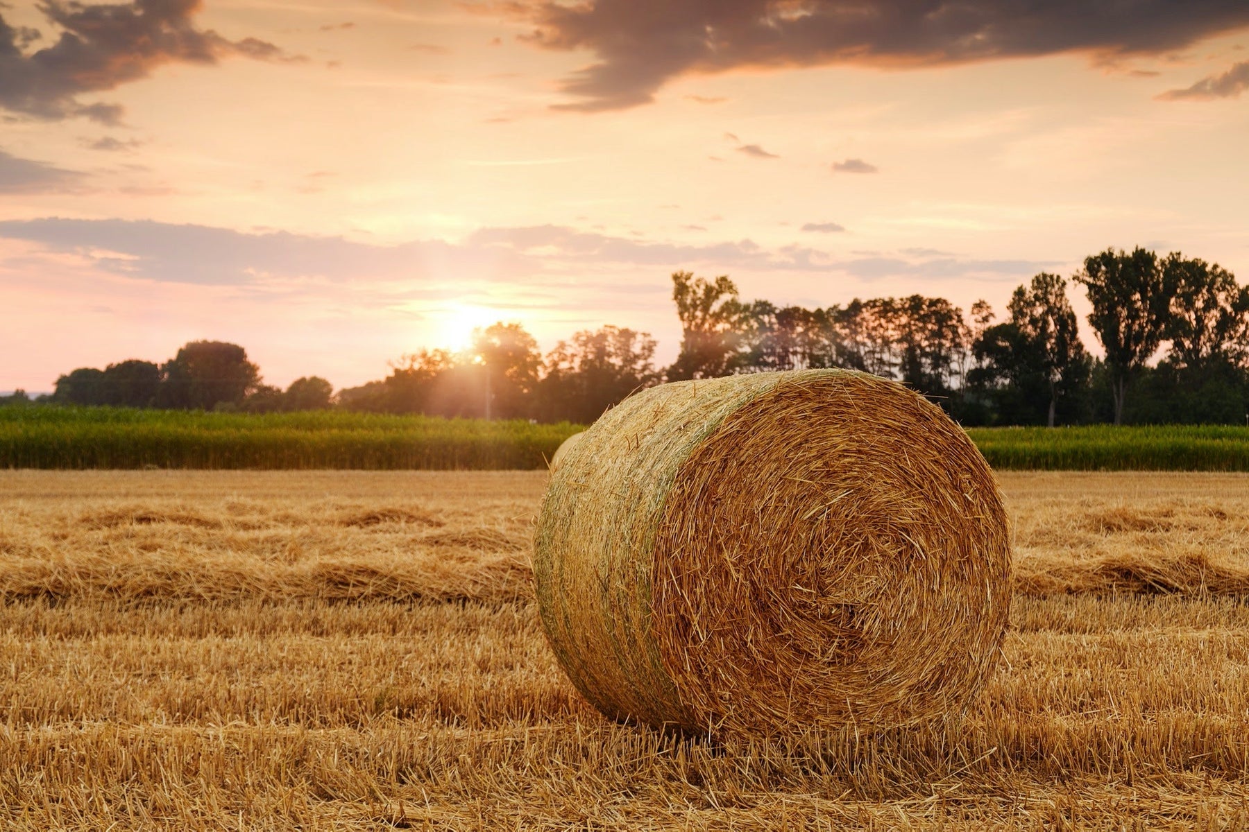 How to Store Hay & Grain