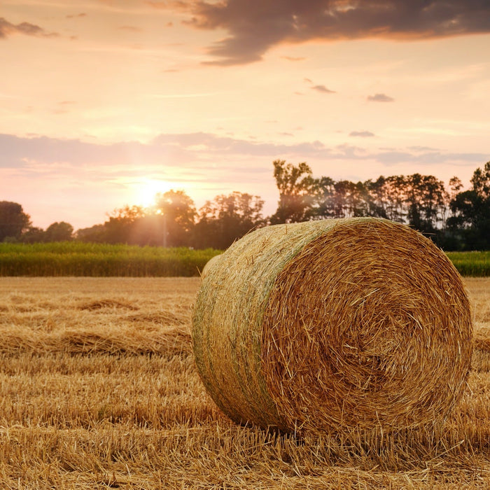 How to Store Hay & Grain