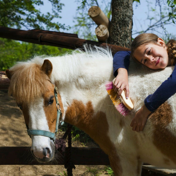 Everything You Might Need for Summer Pony Camp