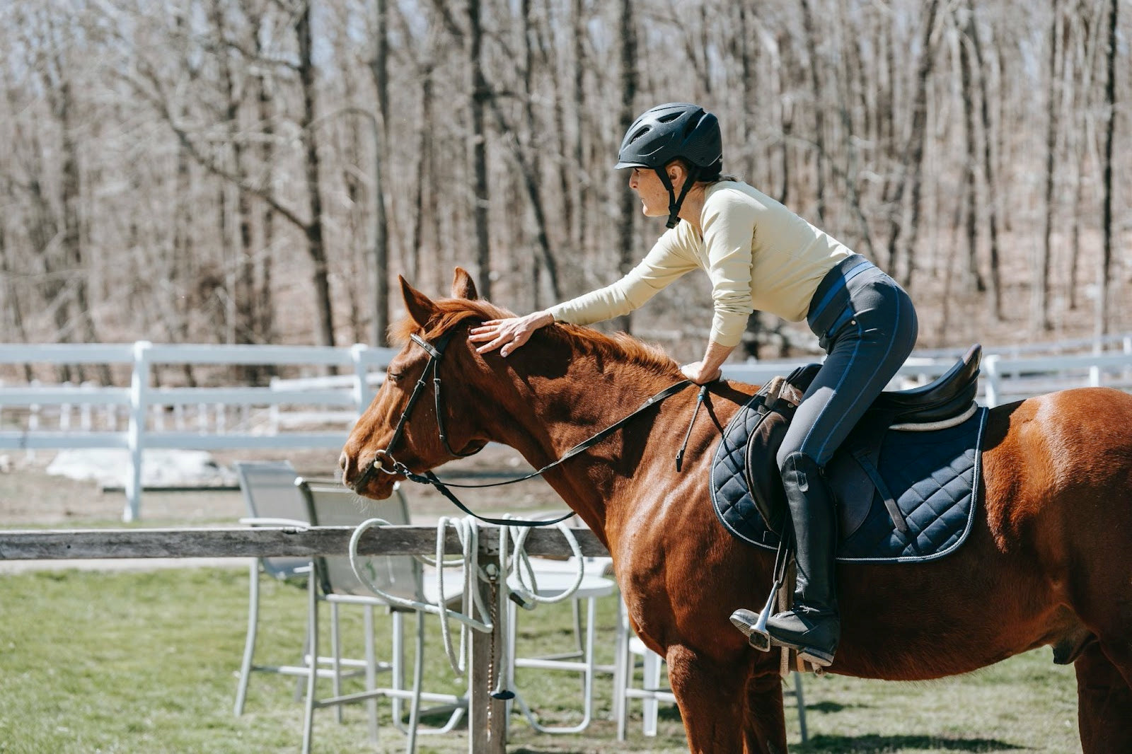 No Training Obstacles? Creative Things to Use for Horse Training