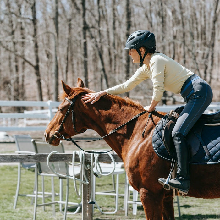 No Training Obstacles? Creative Things to Use for Horse Training