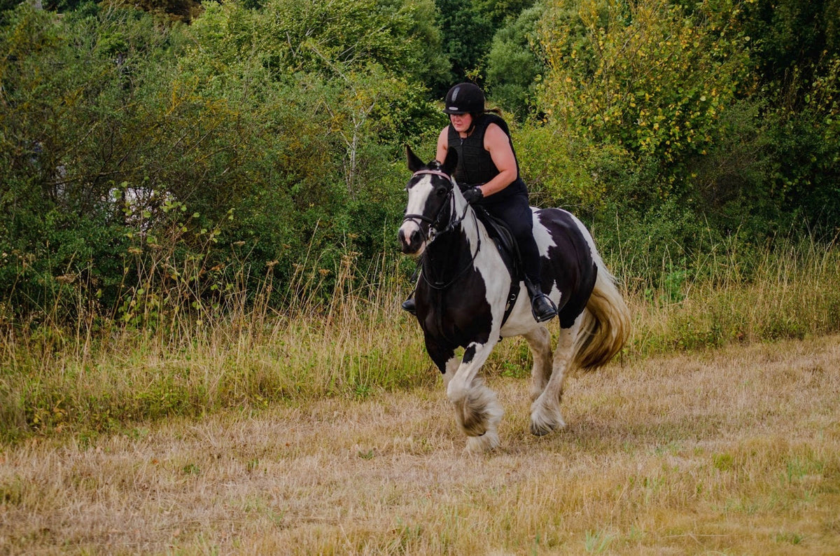 Trail Safety 101 Equine Exchange Tack Shop