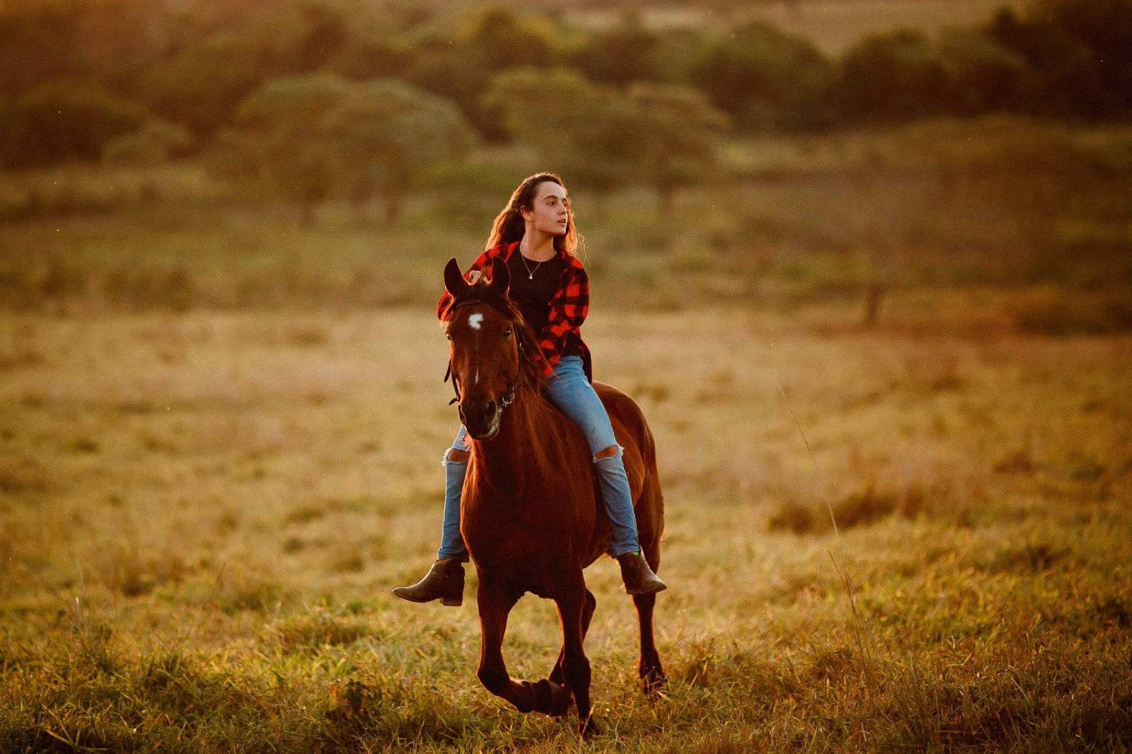 6 Gifts for the Equestrian Women in Your Life
