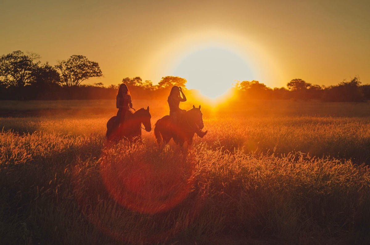 What You Really Need for Summer Trail Riding
