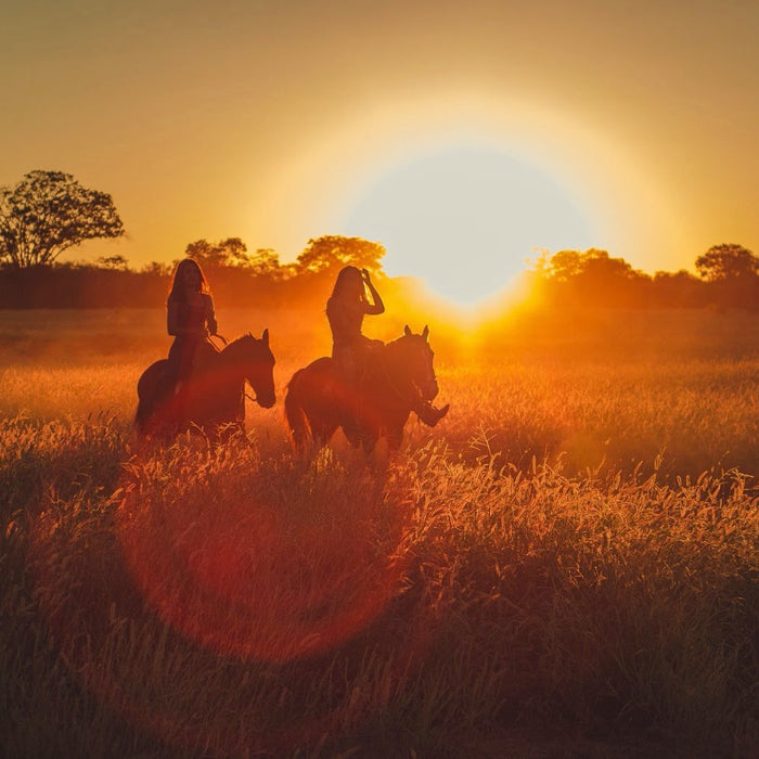 What You Really Need for Summer Trail Riding