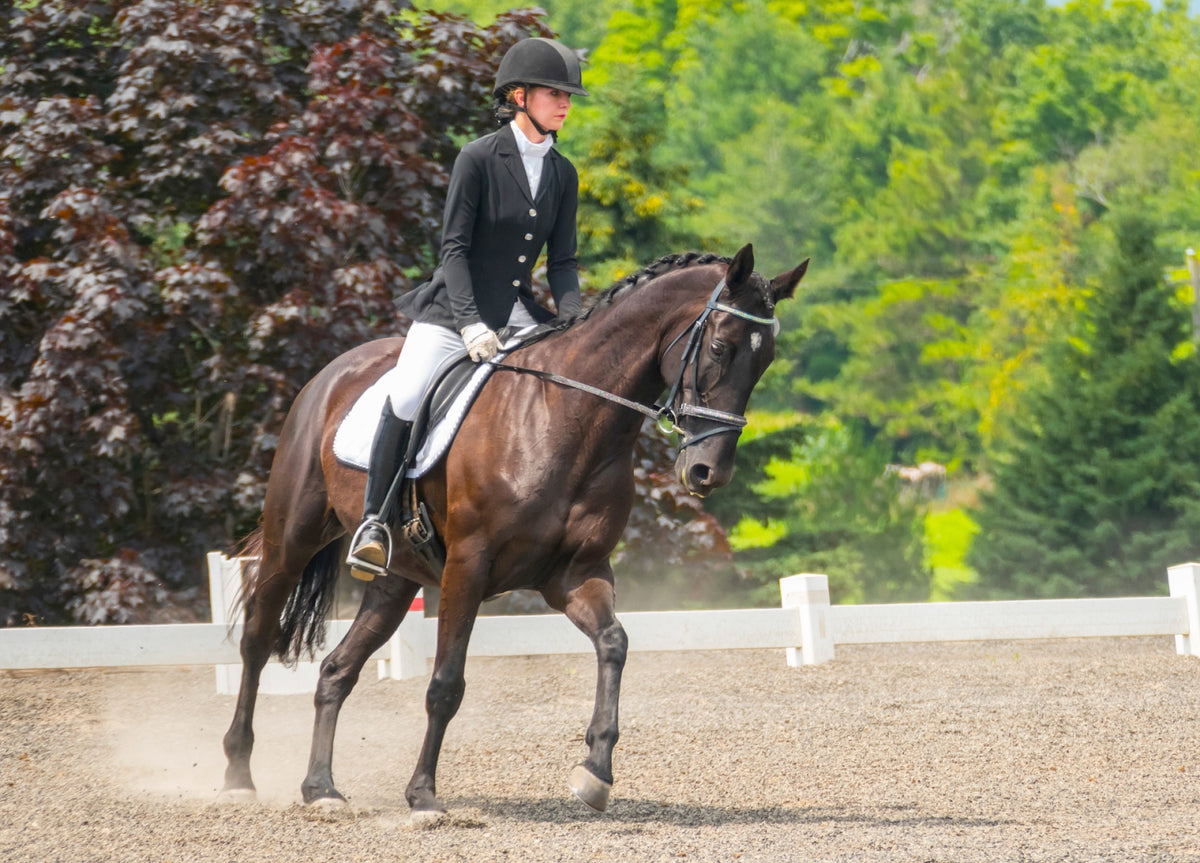 The Evolution of Equestrian Fashion Equine Exchange Tack Shop