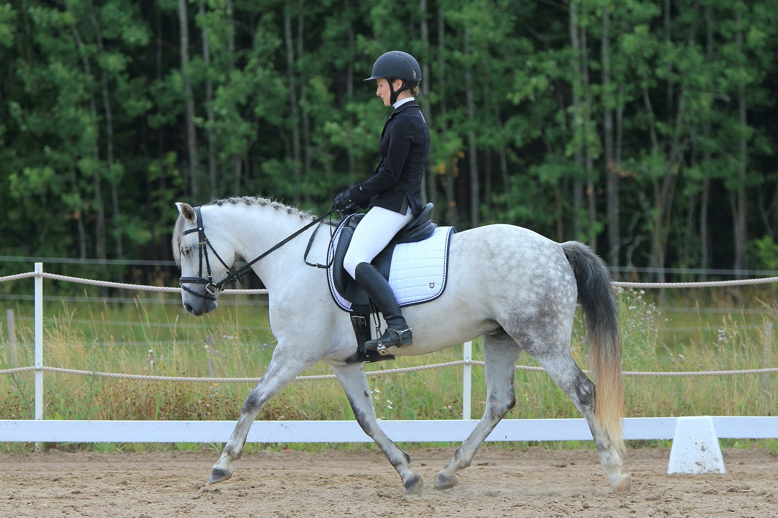 Discipline Dive: Dressage