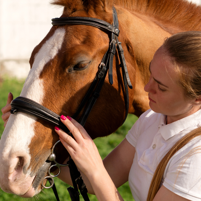 Before You Tighten That Noseband…