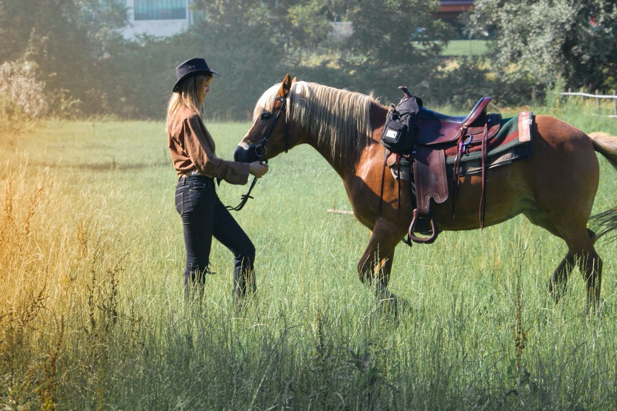 Improving Post-Ride Recovery for Horseback Riding