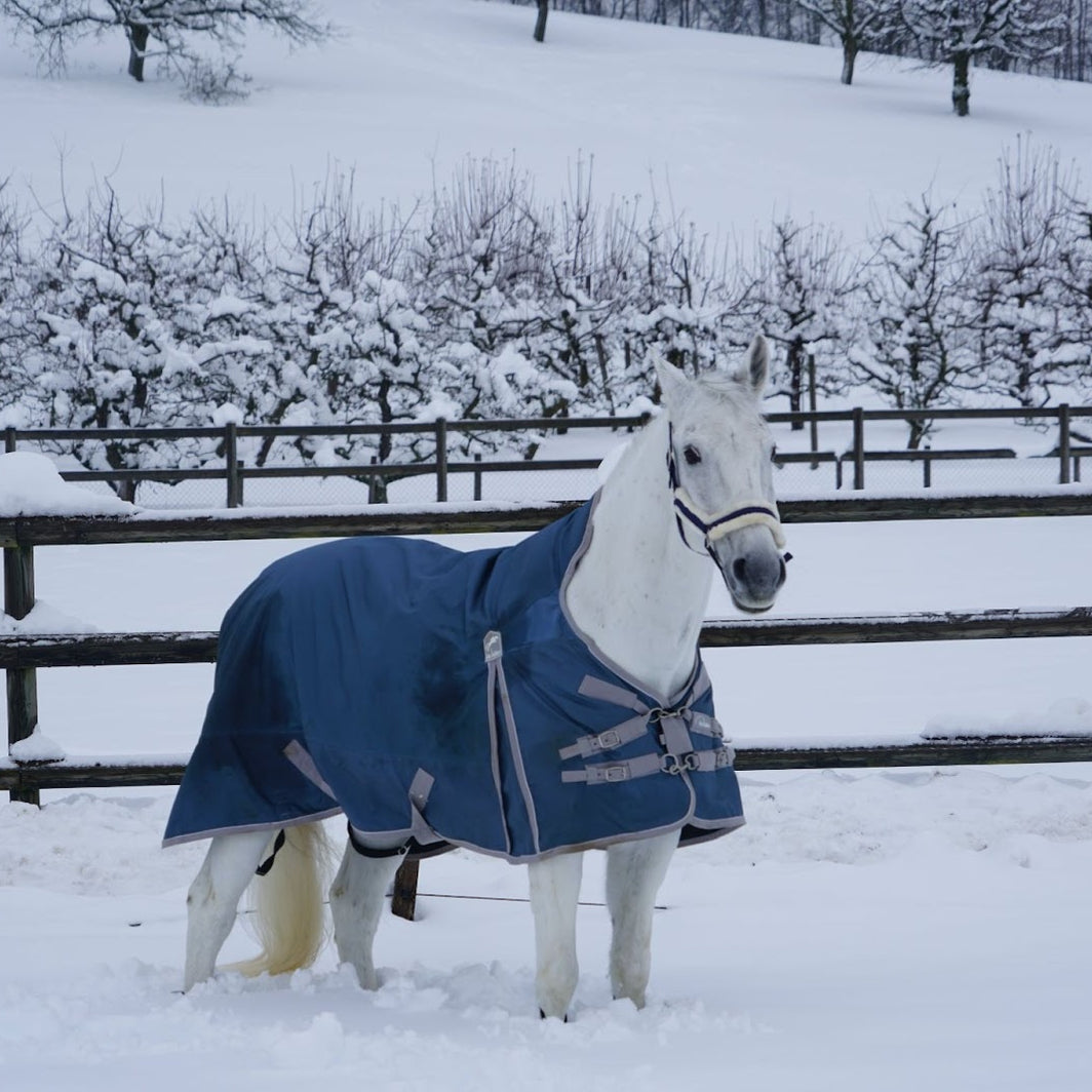 Equine Exchange Tack Shop Pottstown PA Apparel, Bridles, Saddlery