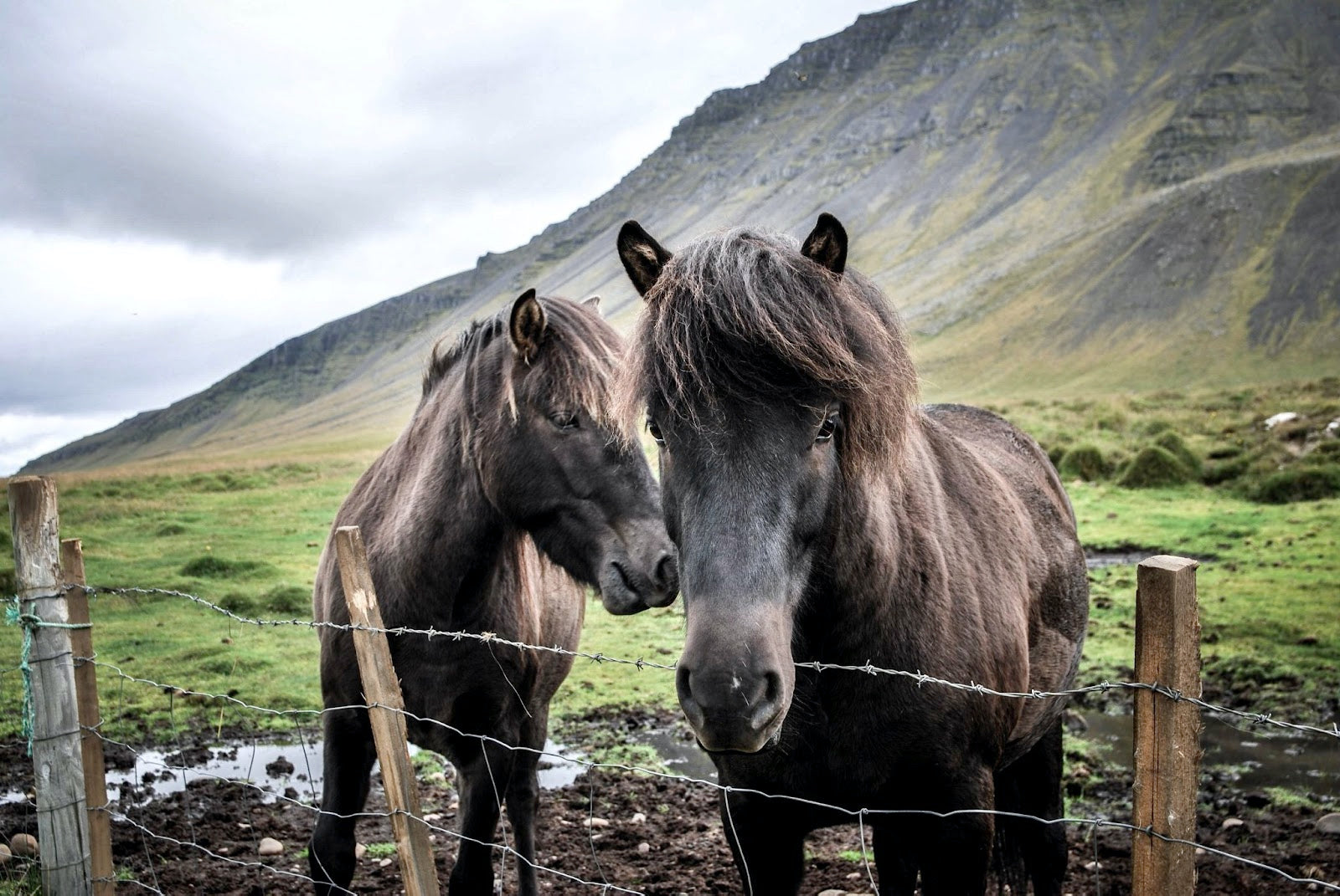 5 Tips for Surviving the Mud Season