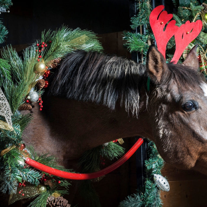 Horse Trainer Christmas Gift Guide