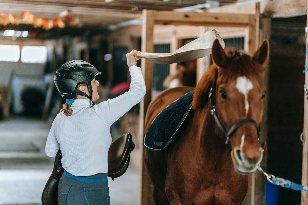 Therapy to Aid PostRide Recovery after Horseback Riding