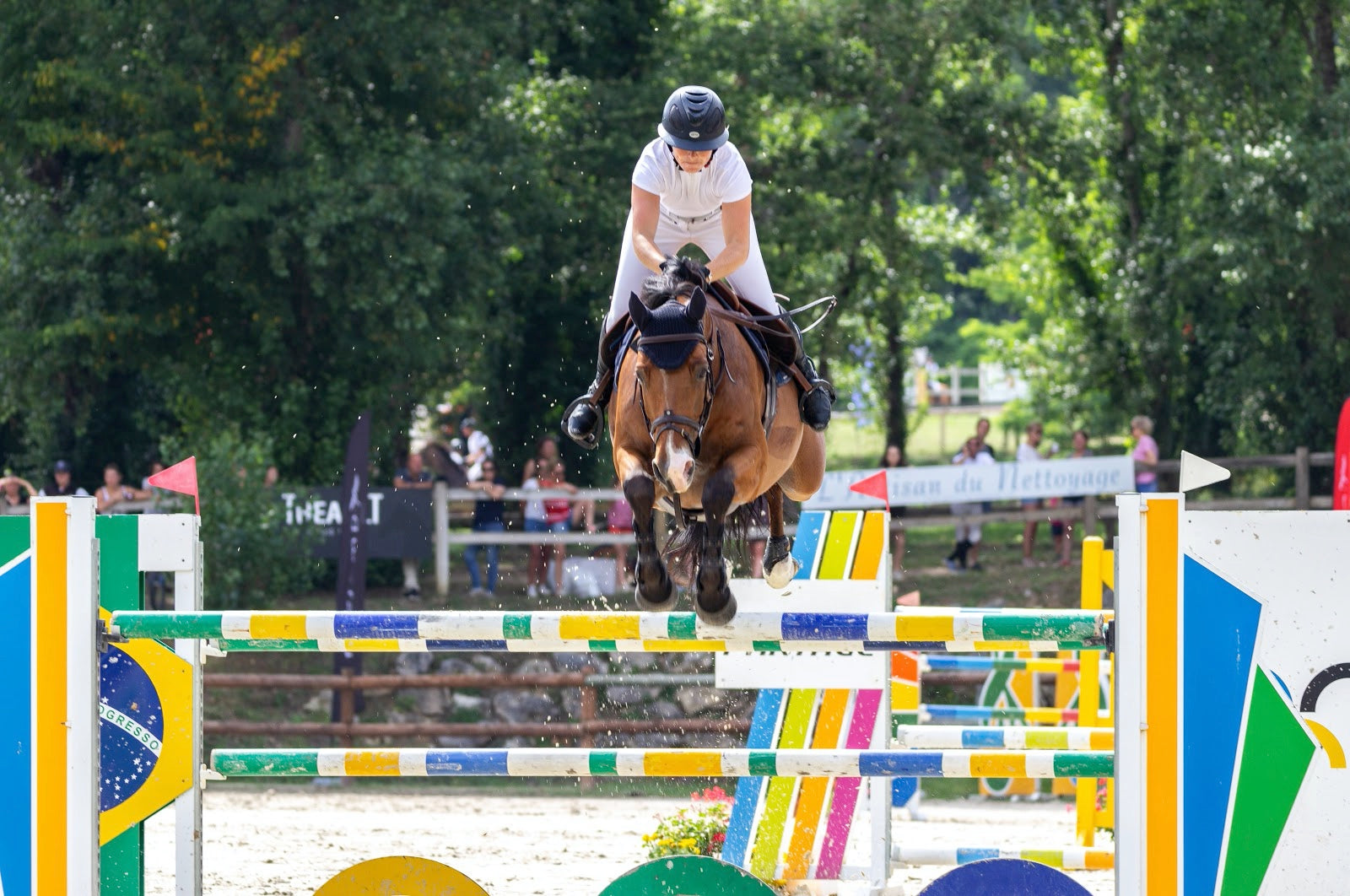 Show Jumping at a Glance